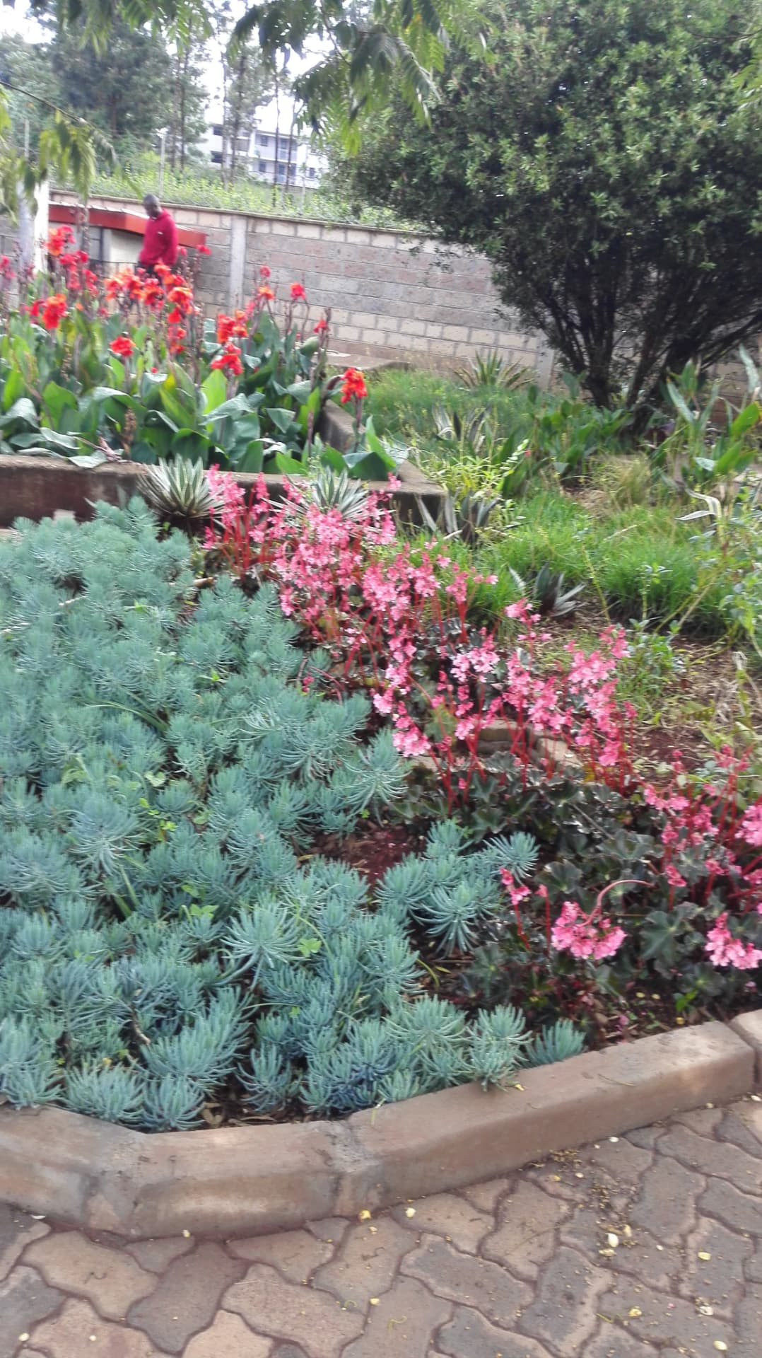 Biogreen installation at Special Needs Children's Complex